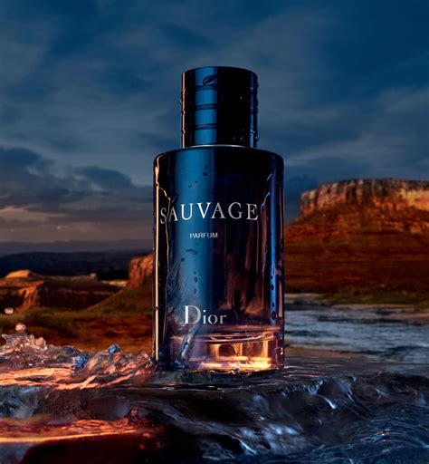 christian dior perfume sauvage turkiye|Dior Sauvage cheapest price 100ml.